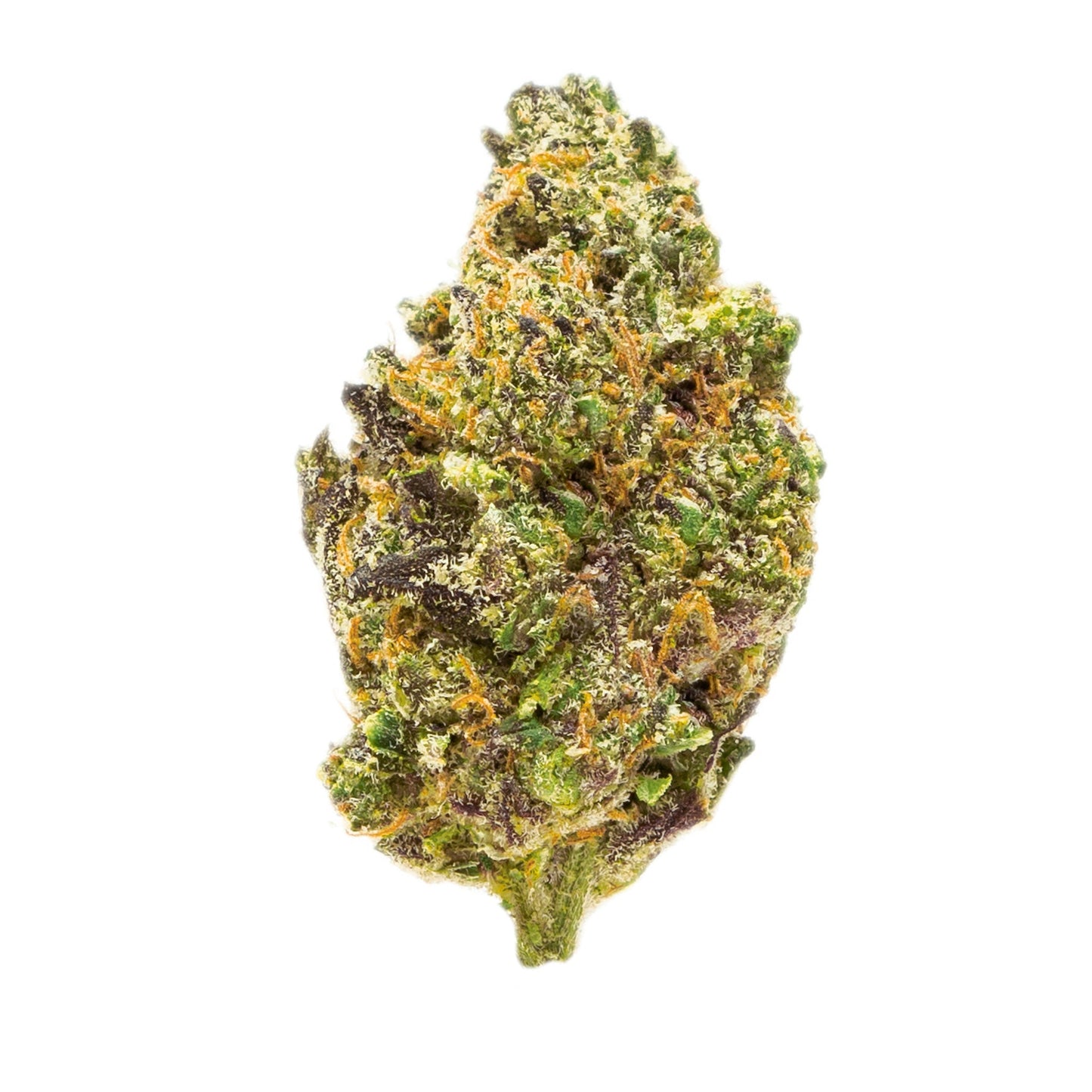 Gold Spectrum Premium Government Oasis THC-A Flower 3.5g