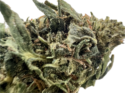 Ripkitty Forbidden V CBD Hemp Flowers