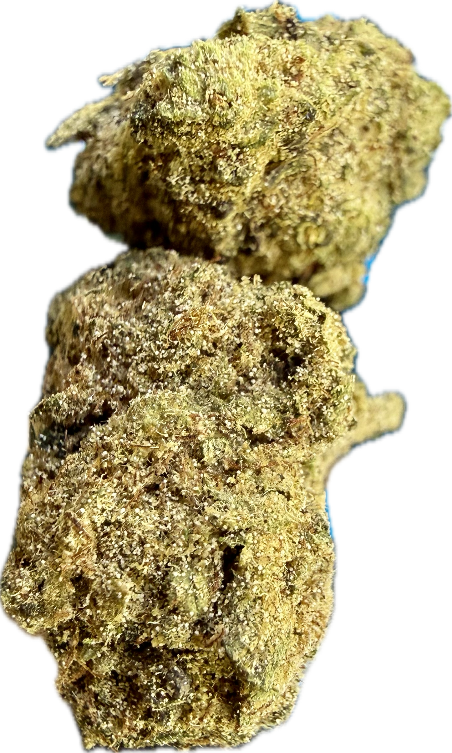 Ripkitty Orange Bitters Delta 8 CBD زهرة القنب