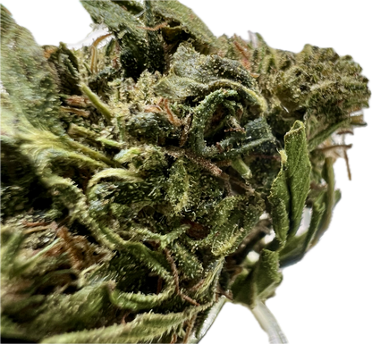 Ripkitty Forbidden V CBD Hemp Flowers