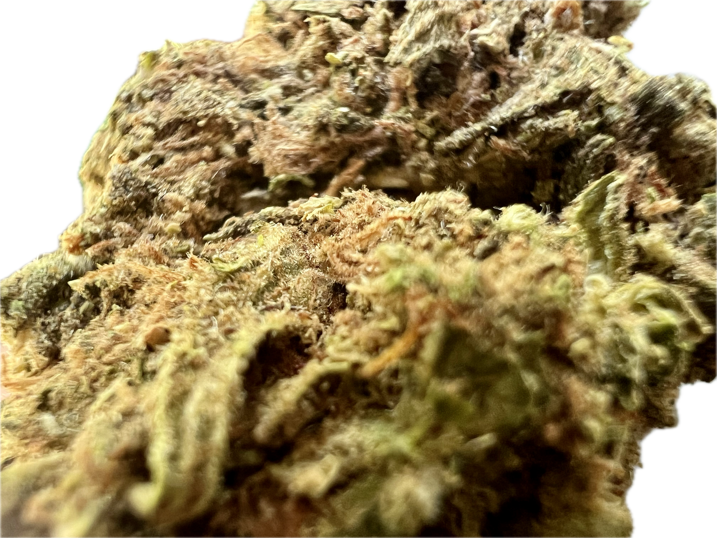 Clovis OG by Clovis Farms