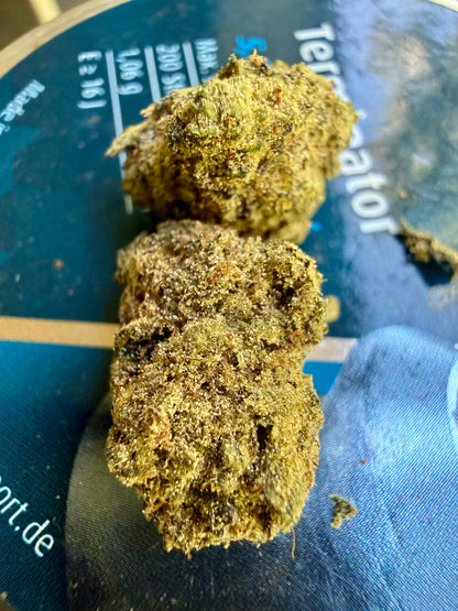 Ripkitty Orange Bitters Delta 8 CBD زهرة القنب