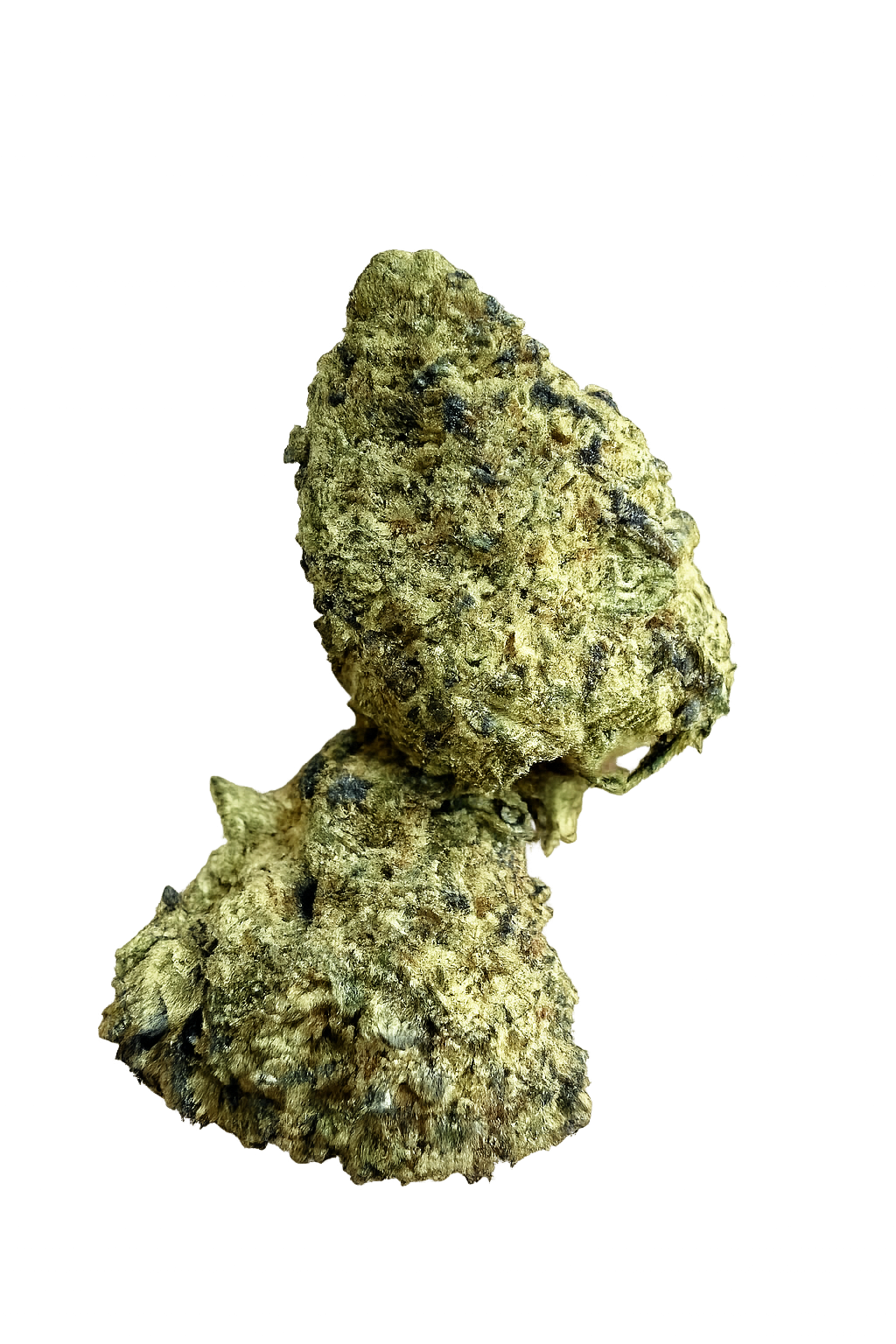 Ripkitty Orange Bitters Delta 8 CBD زهرة القنب