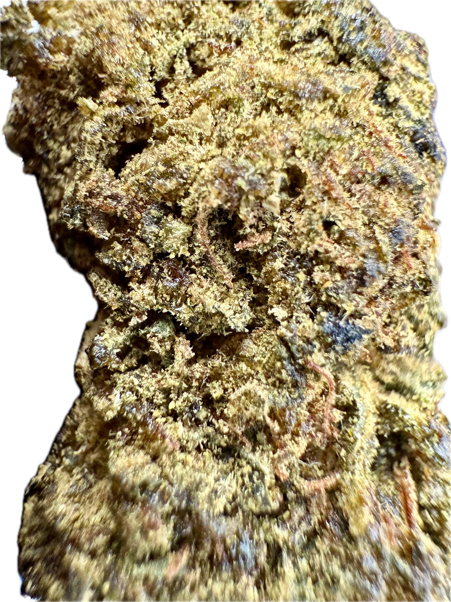Ripkitty Sour Hawaiian Haze HHC Hemp Flower