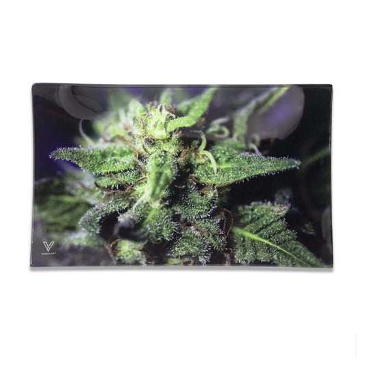 BLUE DREAM GLASS TRAY