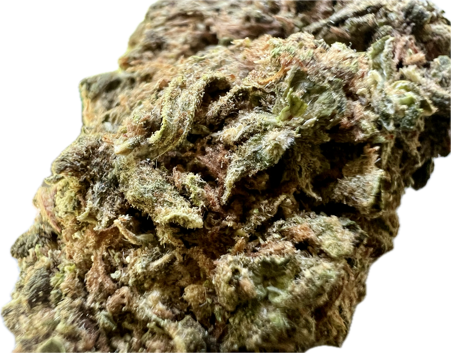 Clovis OG by Clovis Farms
