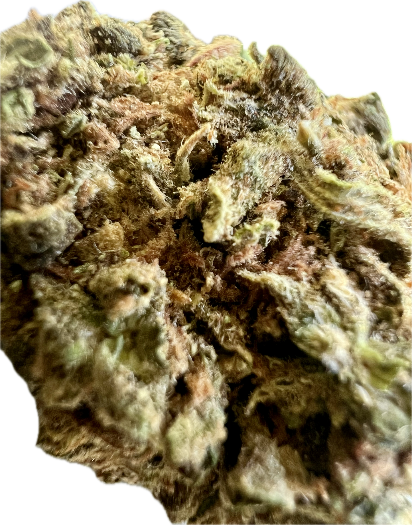 Clovis OG by Clovis Farms