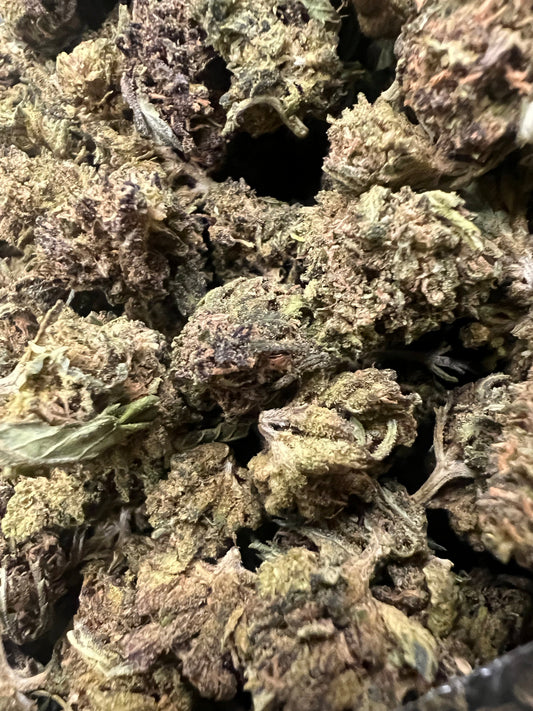 زهرة القنب ريبكيتي أباكوس ديزل CBD
