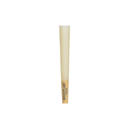 Houseplant by OCB Cones - Bamboo / 8pc / Mini 32ct