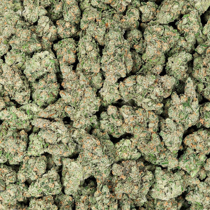 Revelry Premium Indoor THCA Flower | 3.5g