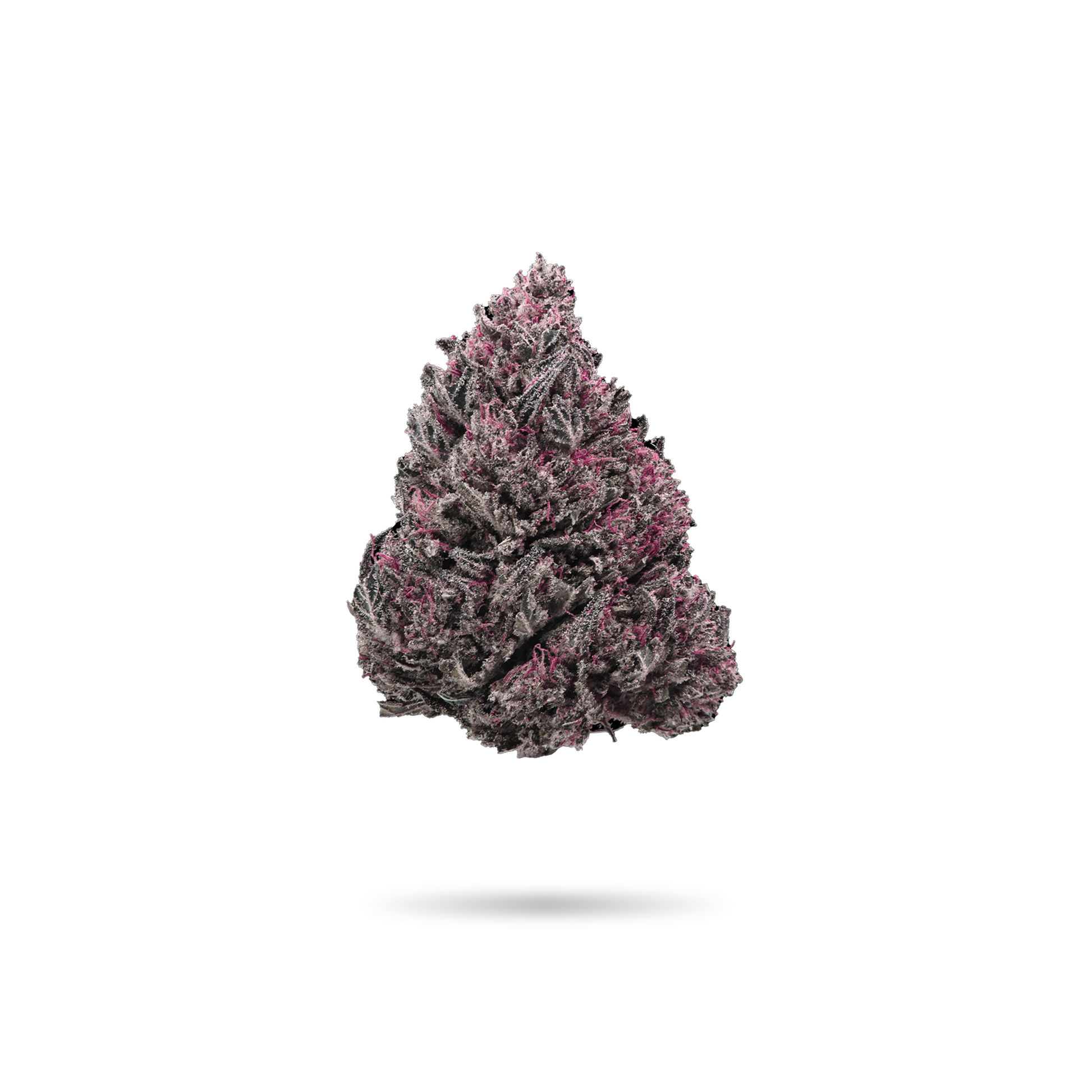 The Dopest Indoor Glitter Bomb Hybrid Flower 3.5g