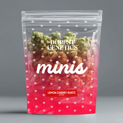 The Dopest Minis Lemon Cherry Runtz Hybrid THCA Flower 14g