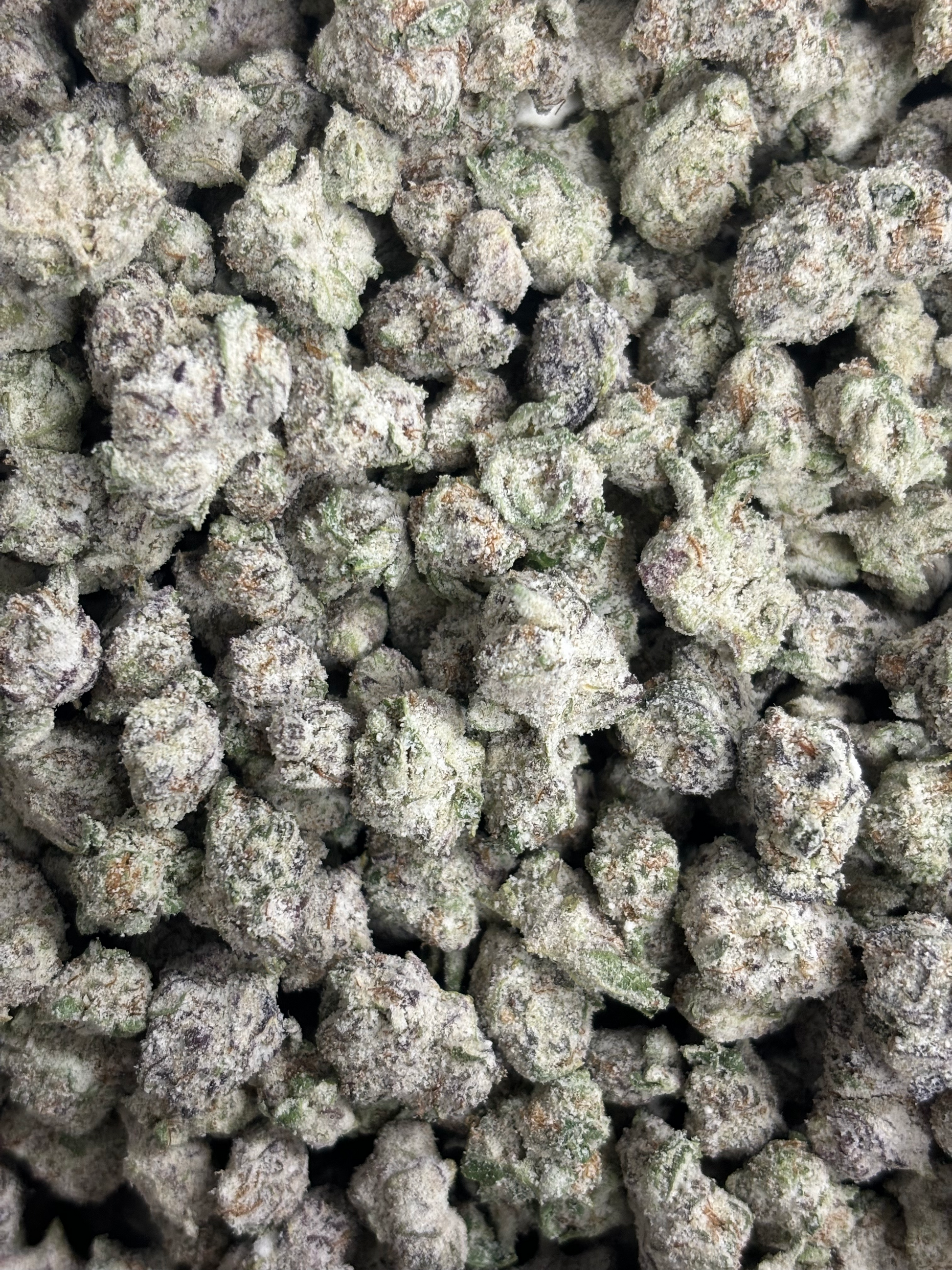 Snow Caps Smalls THCA Covered Frosty Punch Flower 3.5g