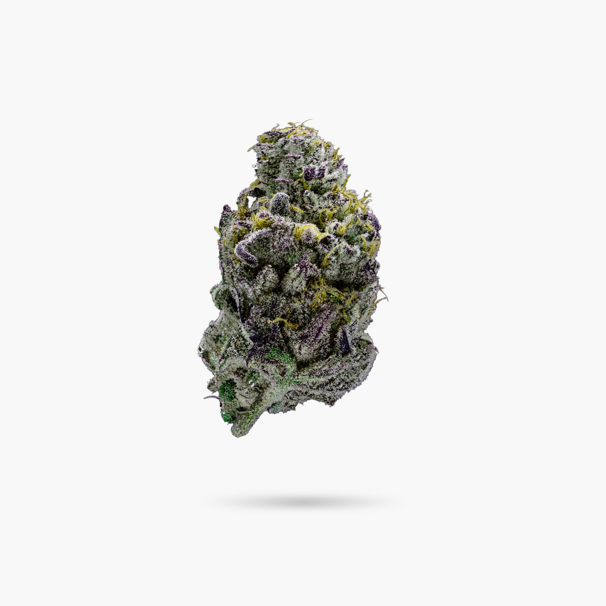 The Dopest Premium Cheetah Piss Hybrid Flower 3.5G