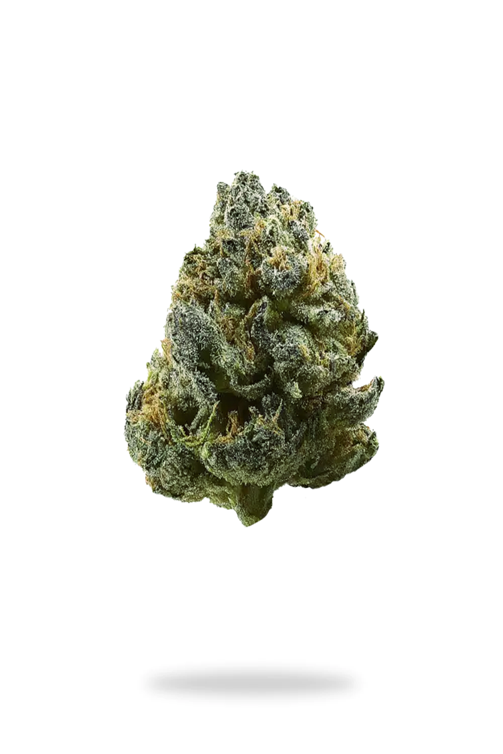 The Dopest Premium Purple Urkle Indica Flower 7g