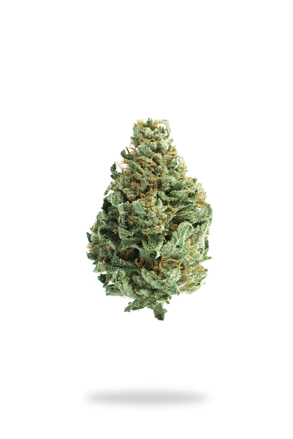 The Dopest Premium White Sherblato Hybrid Flower 7g