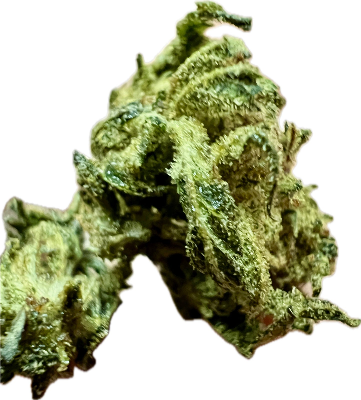 Ripkitty Sour Hawaiian Haze HHC Hemp Flower