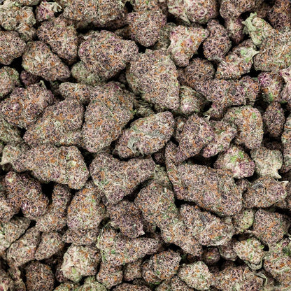 Revelry Premium Indoor THCA Flower | 3.5g