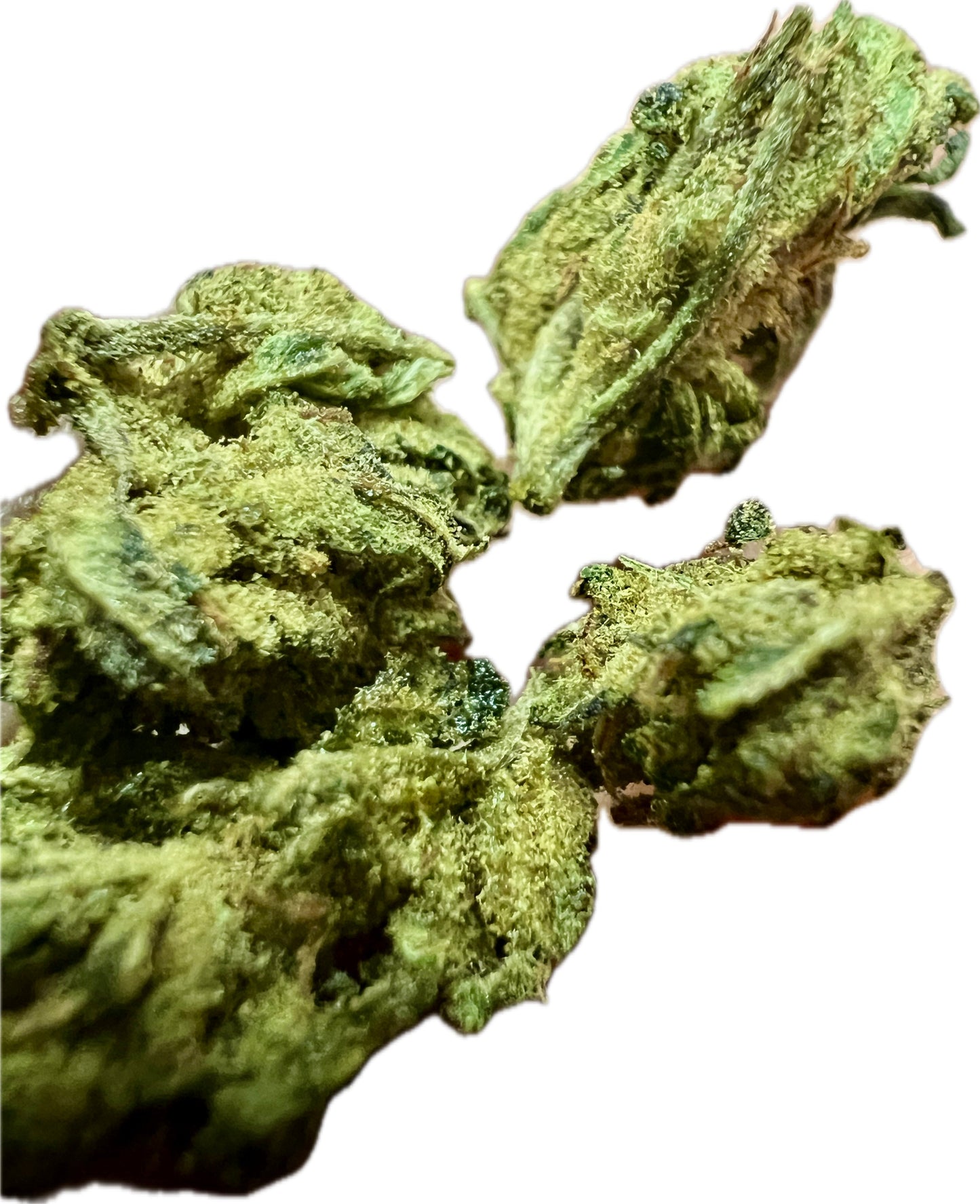 Ripkitty Sour Hawaiian Haze HHC Hemp Flower