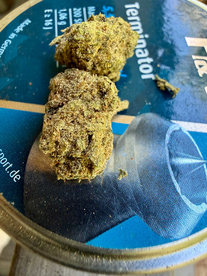 Ripkitty Orange Bitters Delta 8 CBD Hemp Flower