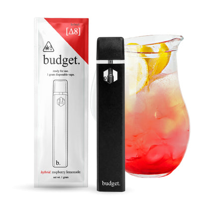 Budget Delta 8 Vaporizer 1000mg Disposable Rechargeable