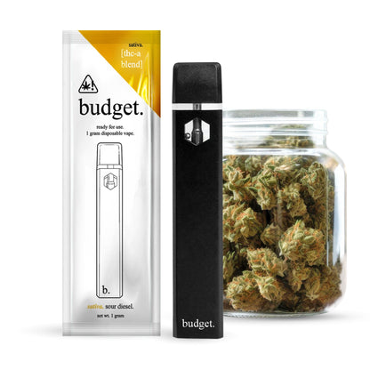 Budget THC-A Vaporizer 1000mg