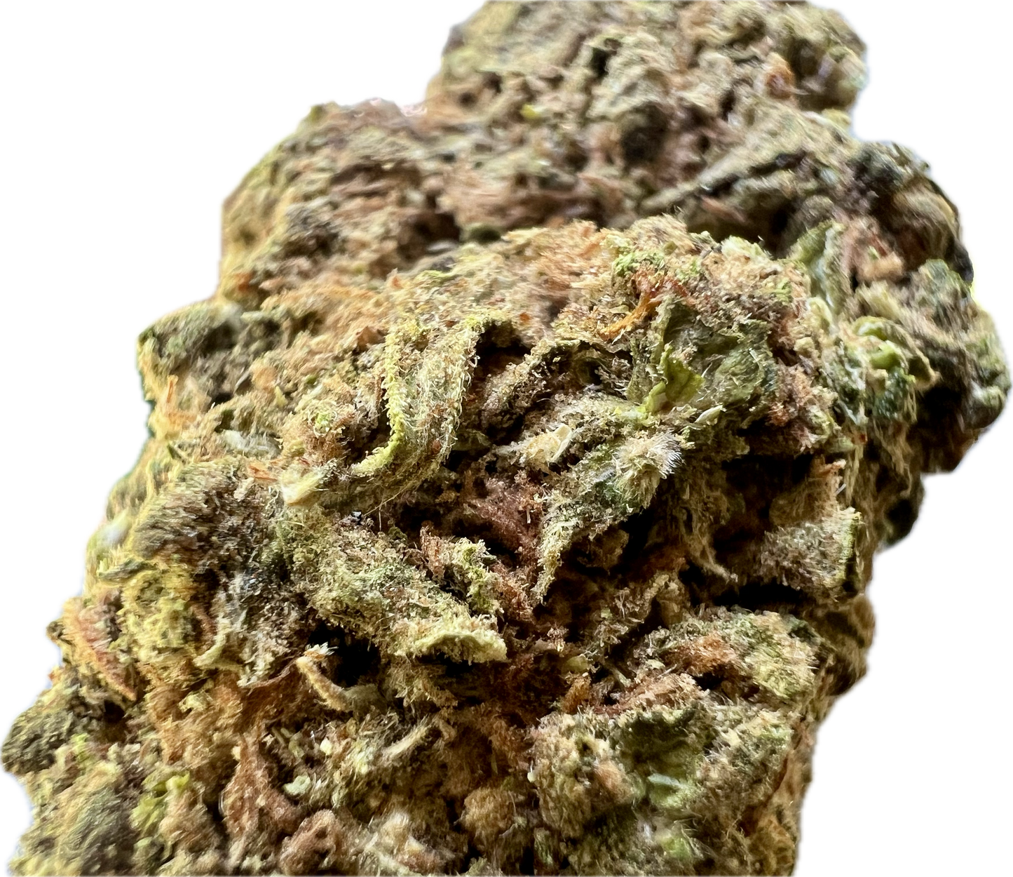 Clovis OG by Clovis Farms