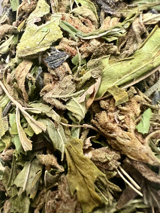 Ripkitty Brass Monkey THCA حشيش تقليم وهزّ