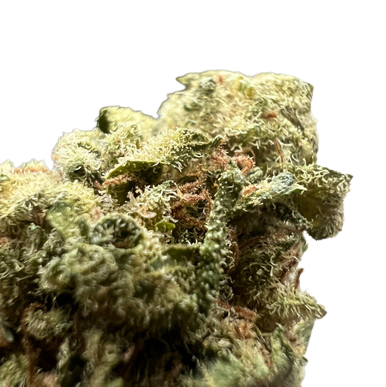 زهرة القنب ريبكيتي سوفر هيز CBD