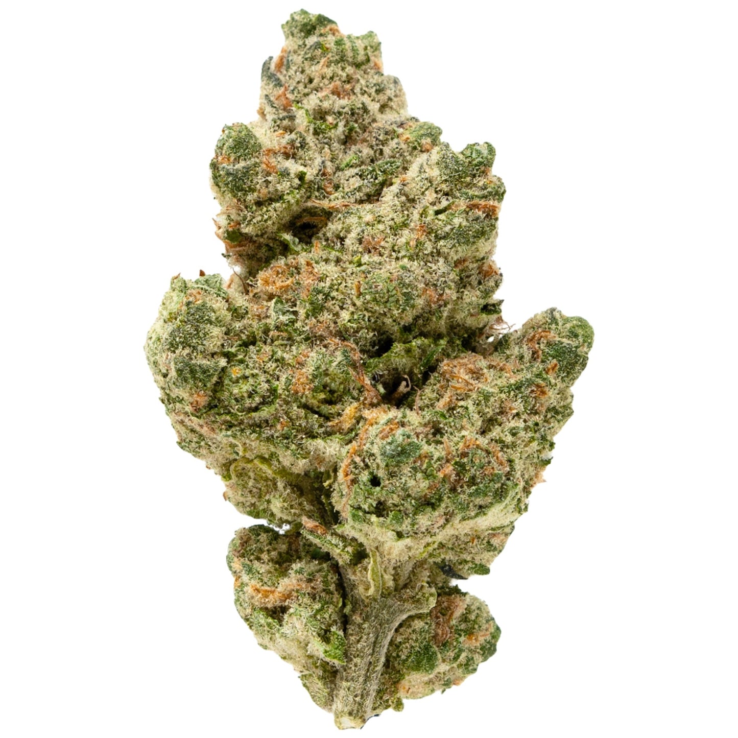 Gold Spectrum Connoisseur THCa Flower 1g