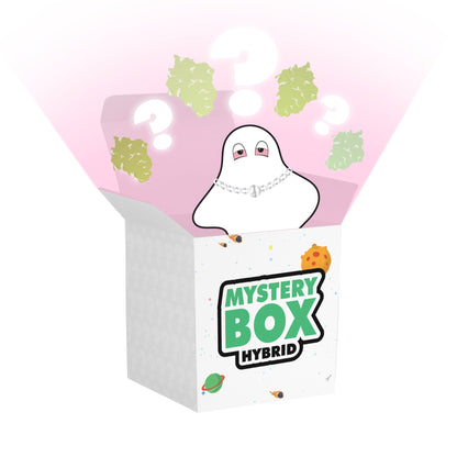 Hybrid E420 Mystery Box Starter Lifted Premium
