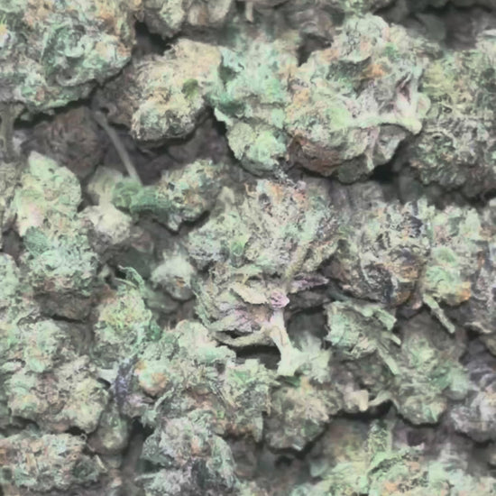 The Dopest Lemon Cherry Runtz Small Hybrid THCA Flower 14g