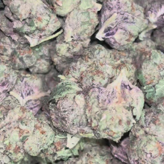 The Dopest Premium Gelato Indica Flower 3.5G