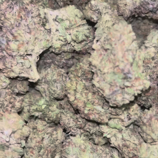 The Dopest Premium White Frost Hybrid Flower 3.5g