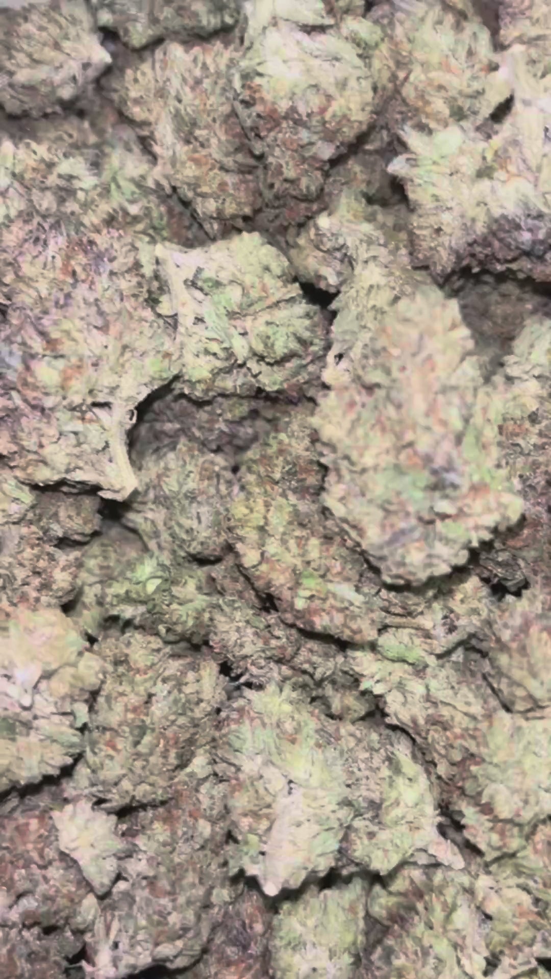 The Dopest Premium White Frost Hybrid Flower 3.5g