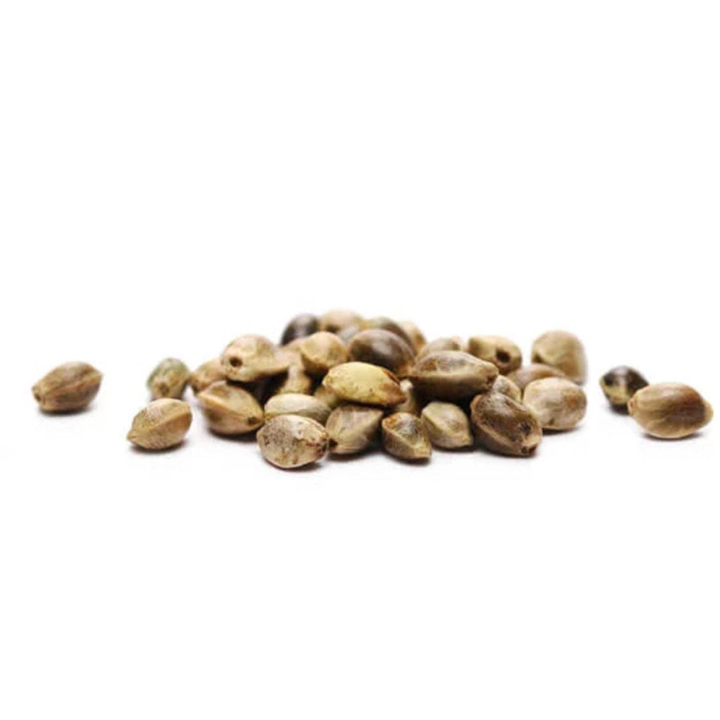 Weed Seeds Runtz Autoflower Feminized Seeds 6ct