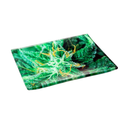 V Syndicate AK-47 Glass Rolling Tray 6.75in