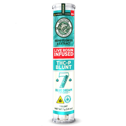 White Fish THC-P Blunt 7g Humidor Fresh