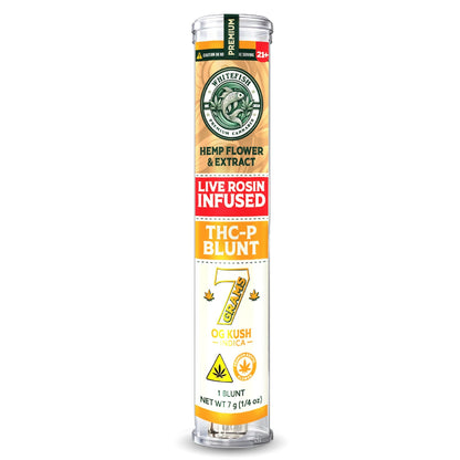 White Fish THC-P Blunt 7g Humidor Fresh