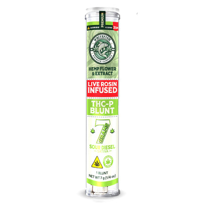 White Fish THC-P Blunt 7g Humidor Fresh