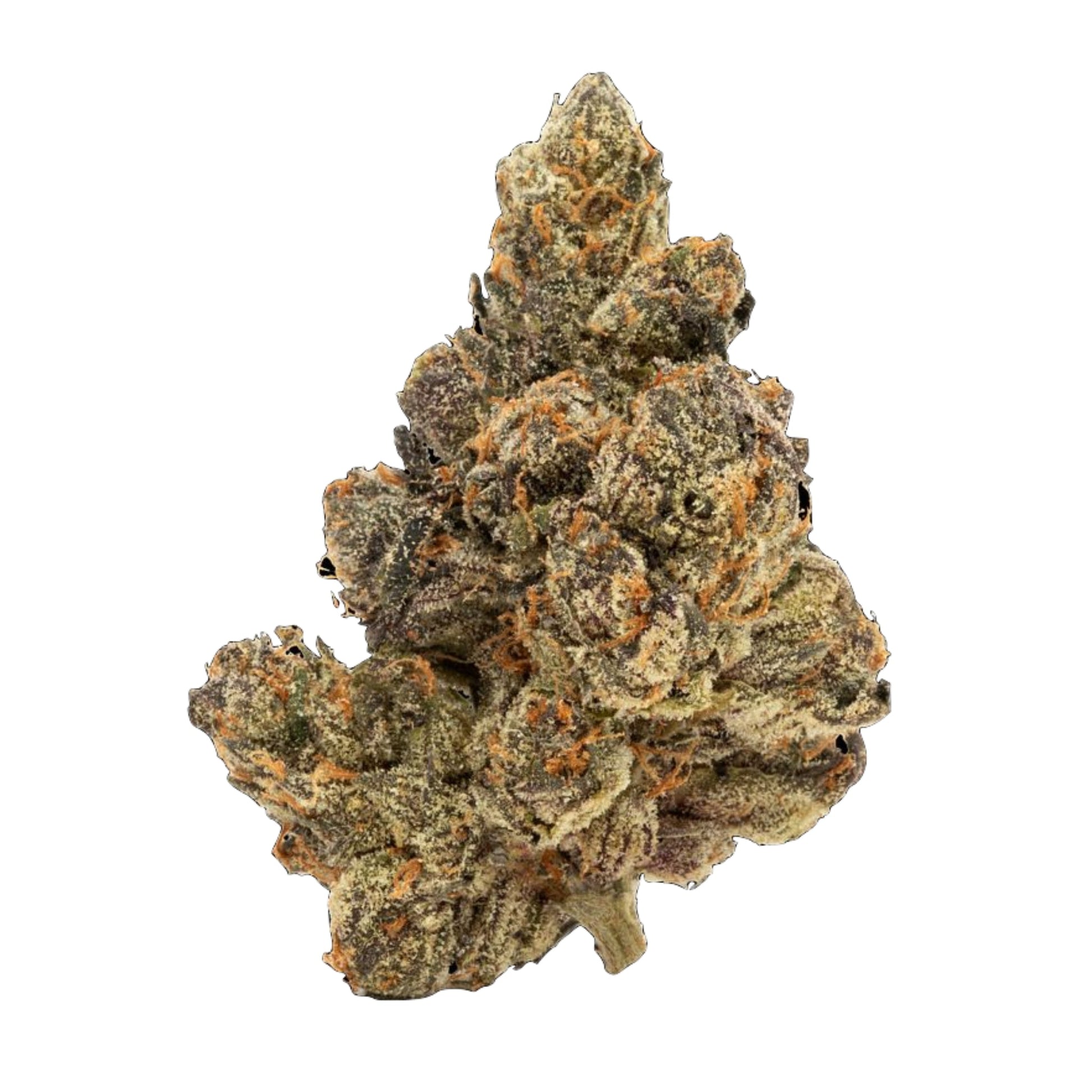 Zotica Trop Cherry Thca Flower 3.5g Sativa
